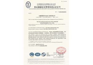 職業(yè)健康安全管理體系認證-華光電站